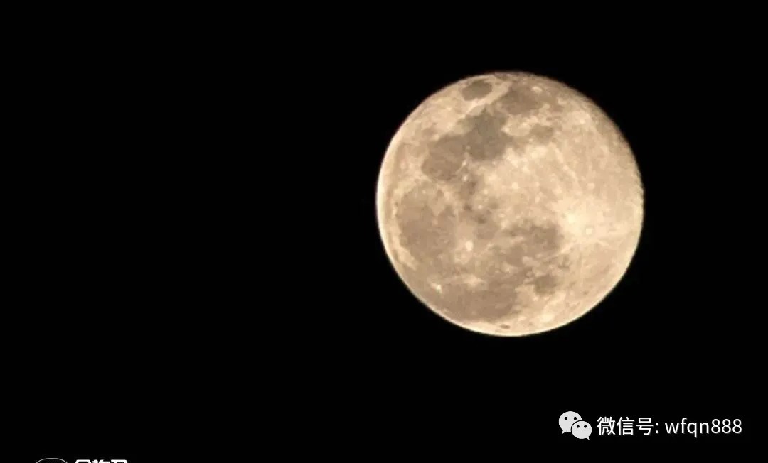 唐诗别裁&李白有一首诗，非常巧妙，东拉西扯以为在写美景，其实却在讽现实