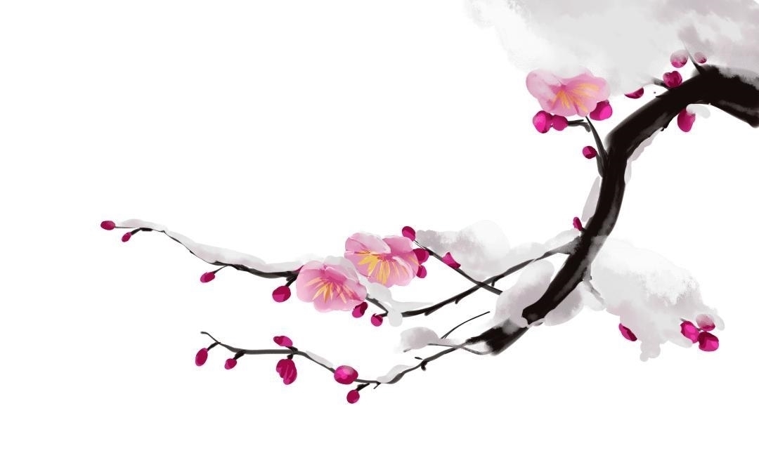 梅花#寒冬早梅诗四首,一树寒梅白玉条,疑是经冬雪未销