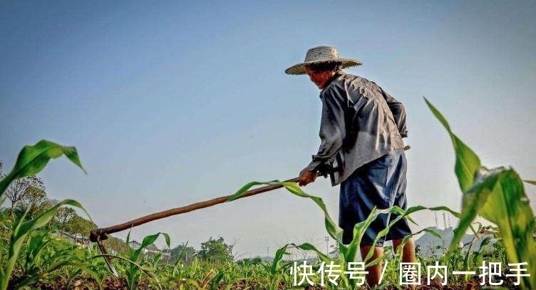 悯农#史上最惊艳的五绝是哪10首?篇篇精彩,《望敬亭山》都望尘莫及