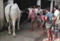 |搞笑GIF趣图:这眼睫毛扇得再快点,美女你都要起飞了!