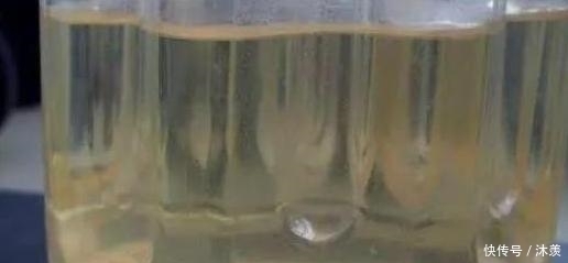 7天浇1个鸡蛋！花像打了激素疯长