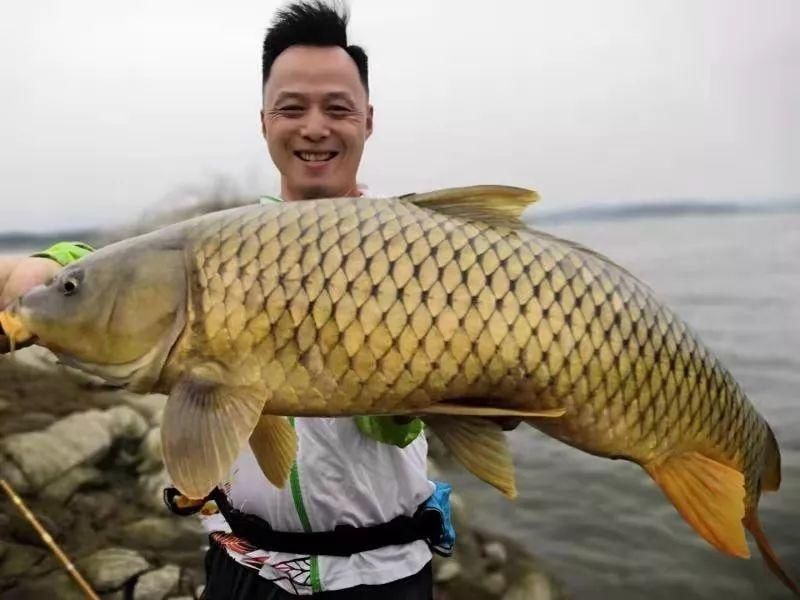 夏季垂钓如何聚鱼老钓友用这两款窝饵料,刚一下竿就有口