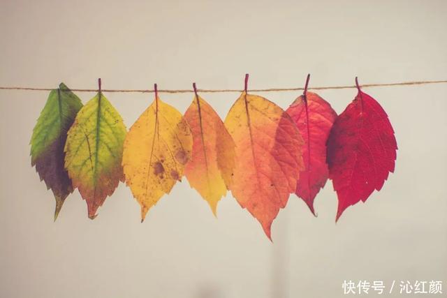 面对|了不起的免疫力,了不起的你
