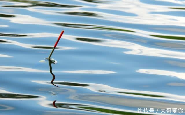 春钓不要犯这三个错误,多数时候不会空军