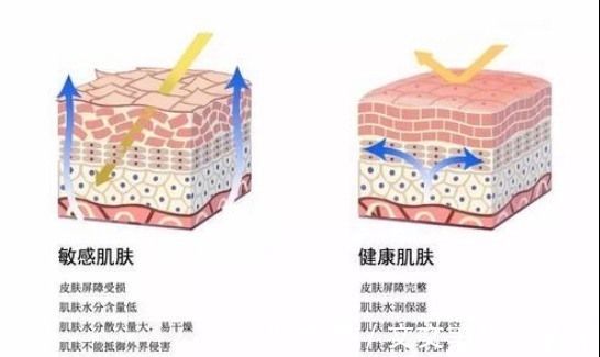 洗面奶|敏感痘肌洗面奶“之争”：实测评价告诉你为什么很多大牌被平替！