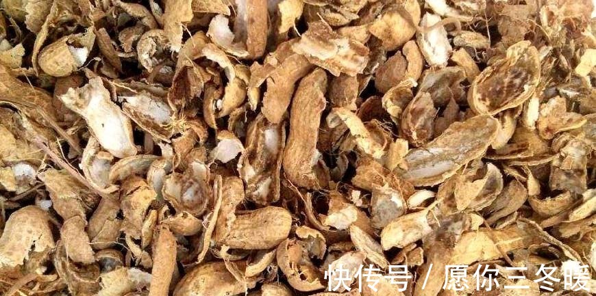 路边捡一把扔到花盆里,土壤肥的流油,根壮不腐烂,3年不用换土!