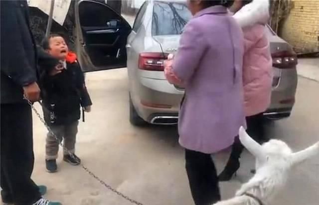 外甥来一趟家里,非要把羊给牵回家,舅舅无奈我有什么办法呢