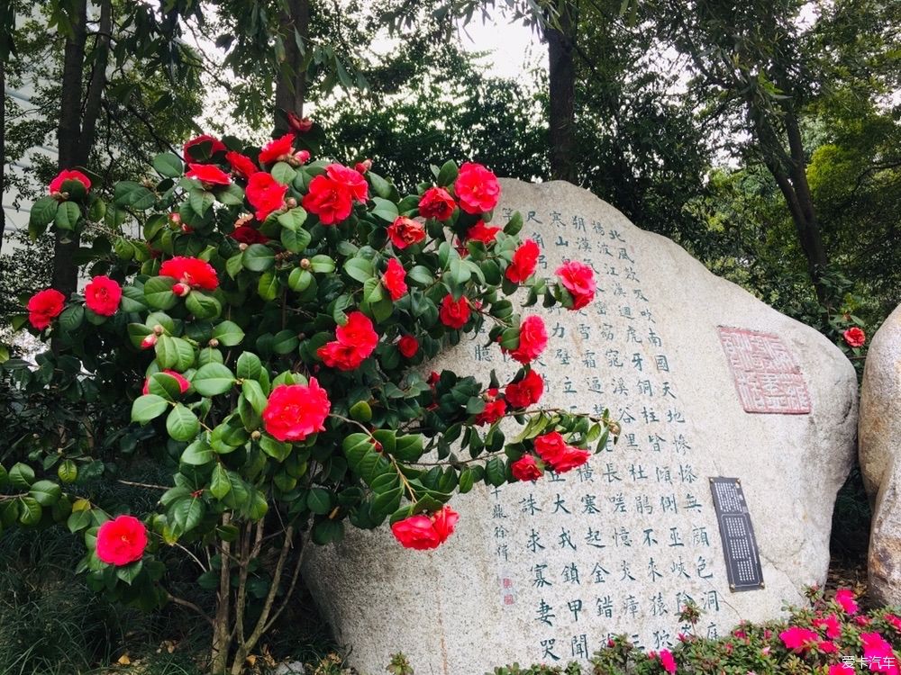 沙滩|游公园，骑单车逛成都，打卡最炫双子塔灯光秀