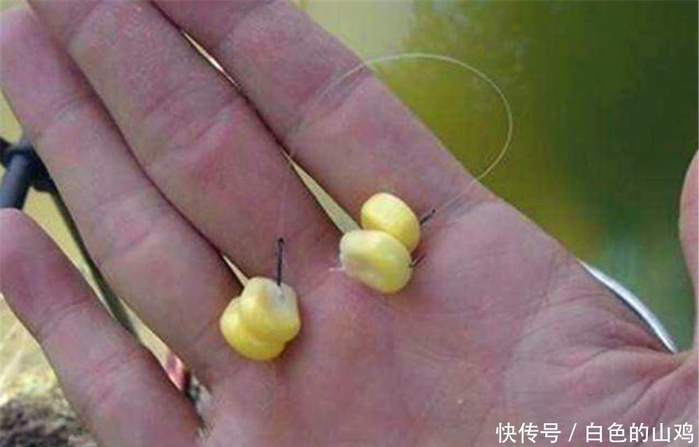 夏季无风不出门,有风才能钓大鱼,刮风天钓鱼,注意调整你的钓法