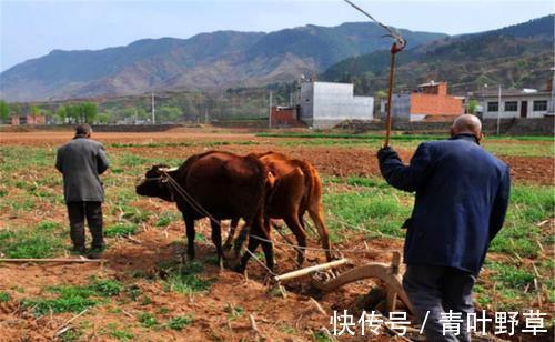 难念的经@俗语说一代做官九代绝,后半句才是经典,可惜很多人不知道