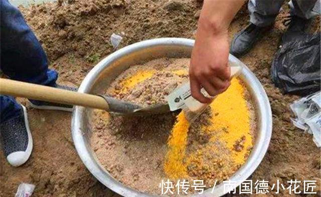 黄颡鱼|秋季钓鱼要用怪招,打窝聚鱼不走寻常路,收获才能比别人多