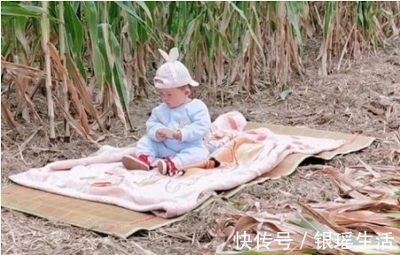 带娃|“全能宝妈”带娃收玉米两不误火了,所谓坚强,全靠硬扛