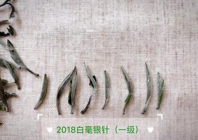 味道|日常知识科普,老白茶味道淡些好,还是浓些好?