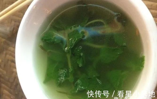 良方|一把薄荷,巧治大病!民间11个入药良方,11种病症皆可治!
