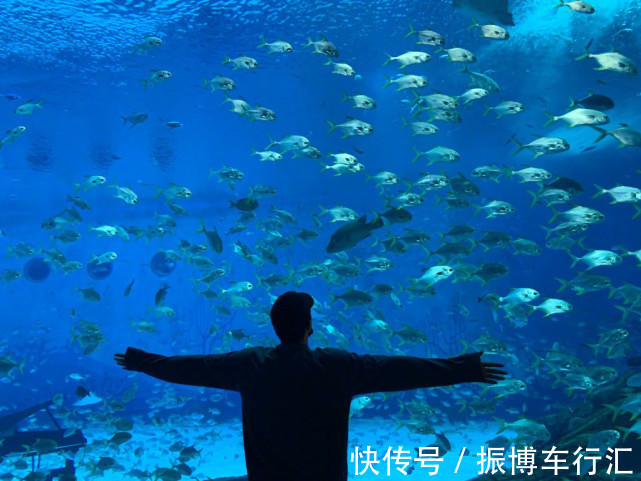 利益论|人生大起大落如今“销声匿迹”的刘翔,如今活成这样,简直是传奇