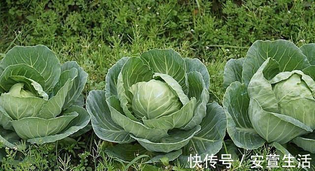 血栓|血管堵塞前已经给了你“4个信号”,不注意,中风的就是你自己!