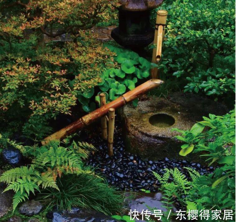 中国传统文化|世界上最小的庭院,居然能有意想不到的意境,简直太美了!