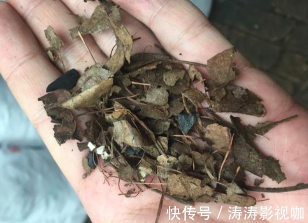 爱养花，却不会搭配盆土学学养花高手给出的方法，经济又实用