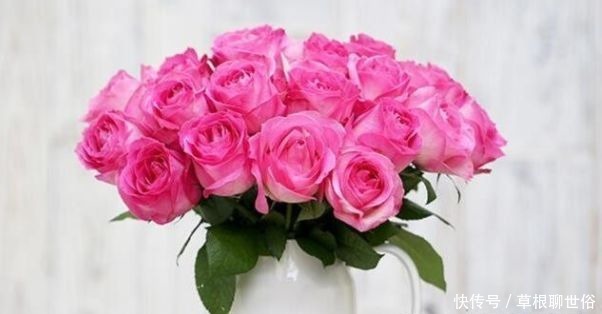 “高档玫瑰”糖果雪山,糖果般甜蜜,诱人美丽,可以说是养花首选