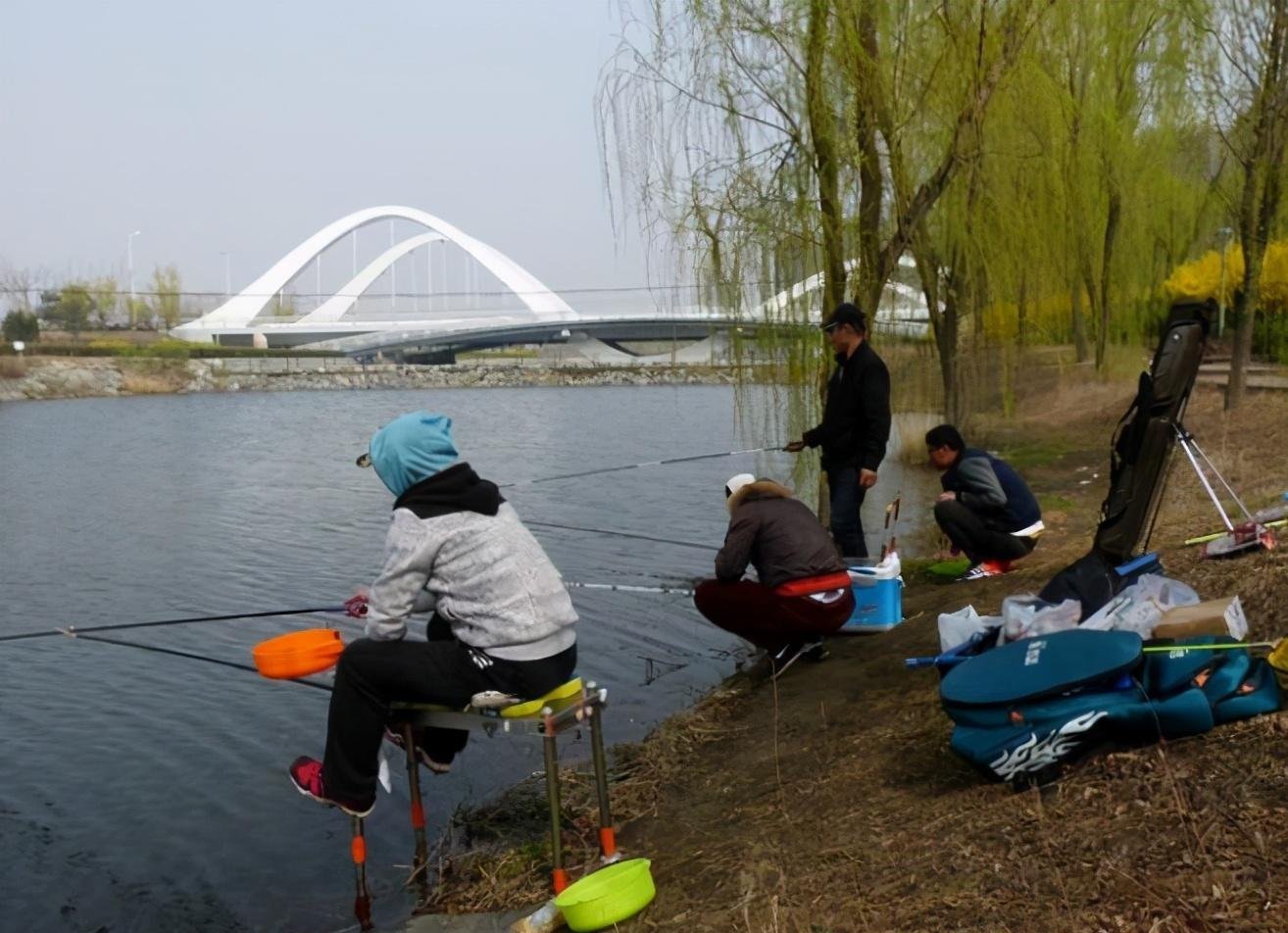 鲫鱼|秘制诱钓结合的天然腥味鱼饵，鲫鱼鲤鱼抢着吃，制作简单实用！