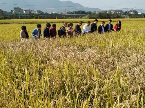 草地|市农技推广中心举办全市草地贪夜蛾与水稻白叶枯病防控技术培训班