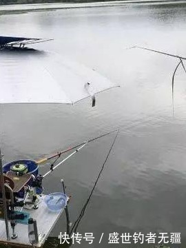 三种草鱼钓法,不仅钓法不同,用饵和思路上另有篇章——盛世三渔