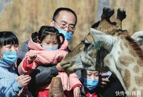 春节黄金周收官 济南野生动物世界欢乐继续