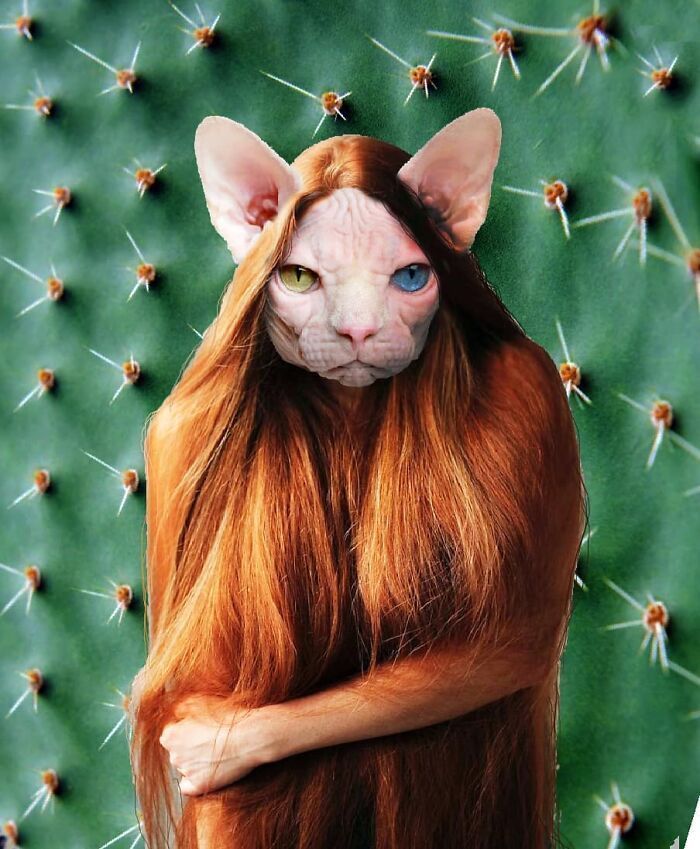 白雪公主!一组艺术家的疯狂照片拼贴画,白雪公主喝多也吐,建国的发现