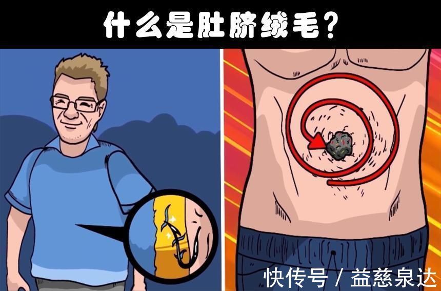 有趣事实这个世界上存在着的8个奇怪的冷知识