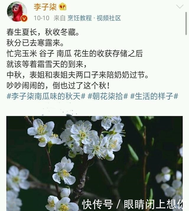 紫米|李子柒这几道菜,隔着屏幕都觉得香,怪不得播放3000多万