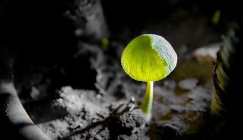  深思|一位肿瘤医生对家人患癌去世的8点感悟，值得所有人深思！