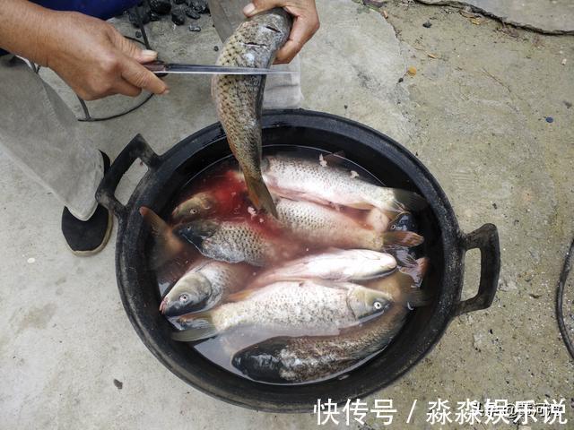 李师傅|51岁厨师徒弟和72岁师傅搭班做宴席，两人一天挣300元