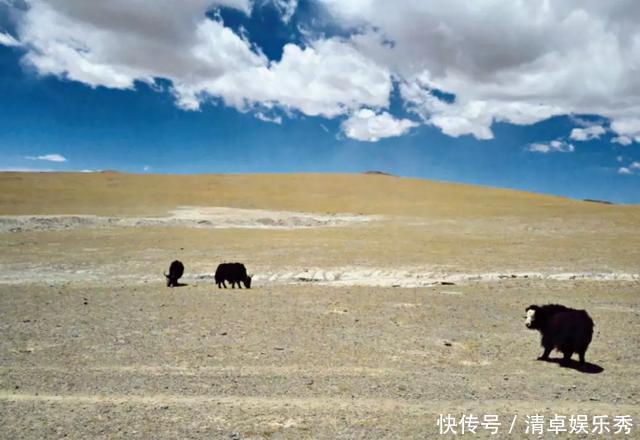 地表|我叫多龙铜矿，是中国铜矿的巨无霸，储量惊人