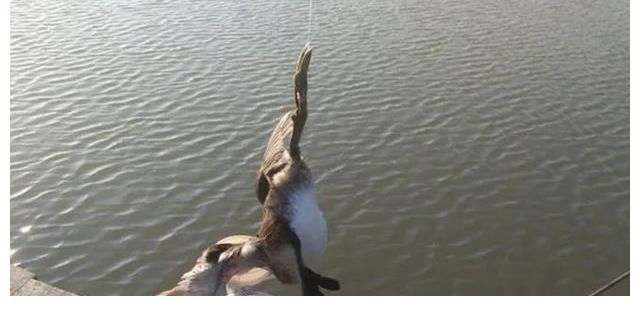 除了钓不到鱼，啥都能钓到！盘点那些年钓到过的奇葩物