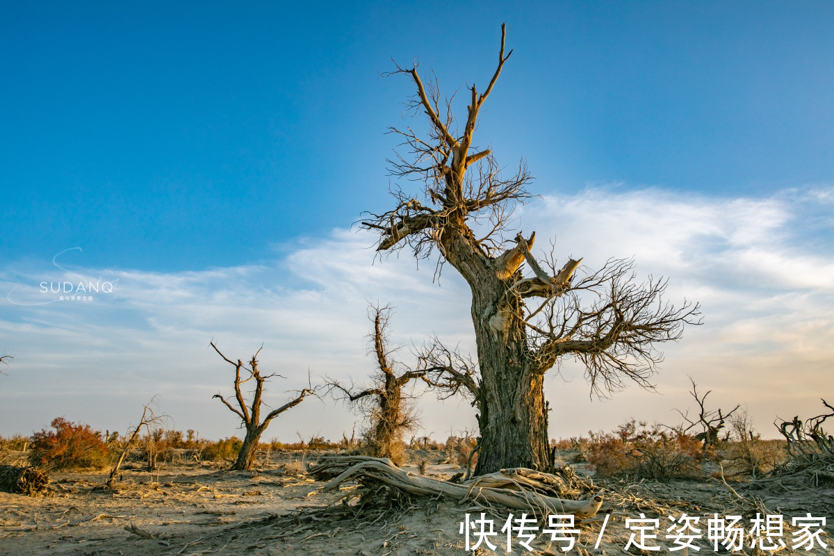 沙漠|神秘的塔克拉玛干沙漠，藏有“生命禁区”，却吸引无数探险者