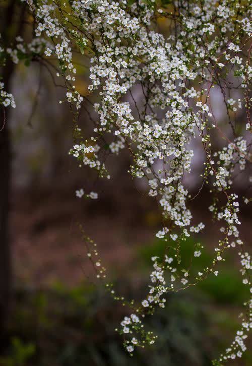 时光!二月,用心情映衬春景,用美好编织时光
