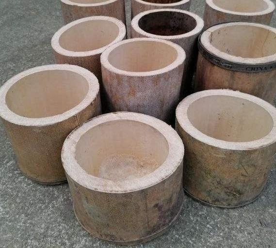 养花太''烧钱''用它们制作漂亮花盆栽种植物，乐趣多、实用