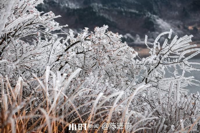 摄友|你在北方的冬天里看雪景，我在南方的冬天里看秋景