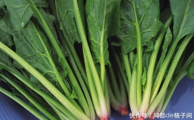 补钙|钙片不能乱吃,补钙时,这些准则要牢记