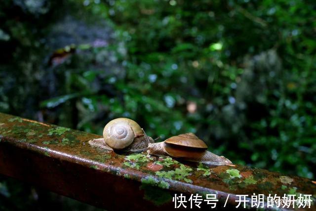 敦煌|读此自传,可知人生有一至乐