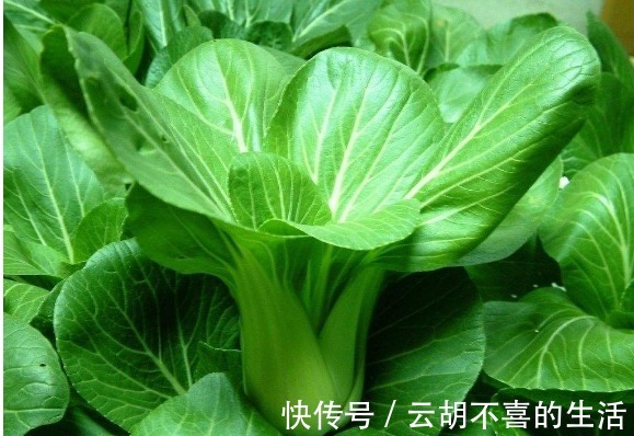 胡萝卜素|此青菜要少吃,最好别吃,对健康无益,可惜还有人不清楚