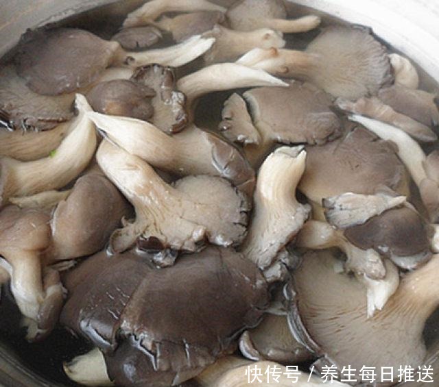 蘑菇肉丁炸酱面,炸酱面没人不爱吃吧