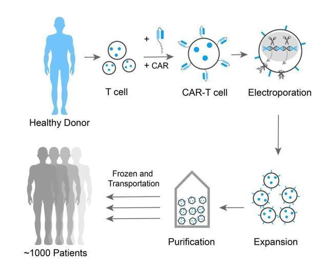 c癌细胞一针“清零”,120万的“天价”抗癌药,富人才用得起?