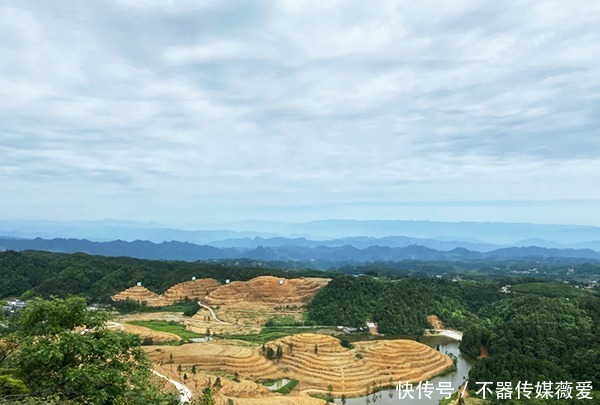 太仙了！古蔺竟然还藏着这样一片“世外茶园”