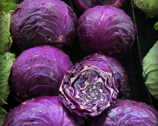 紫甘蓝脆爽营养多,教你挑紫甘蓝的3个小窍门,选到新鲜的紫甘蓝
