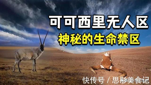 禁区|可可西里无人区有多恐怖？人类禁区，里面藏有哪些可怕生物？