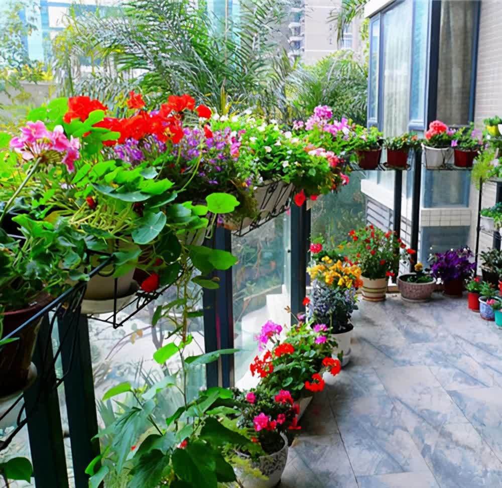 春天养花,必备5种“小东西”,简单有条理,养花一级棒