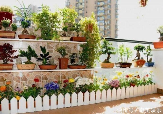 防风|老婆无意间发现一户人家阳台,太高级了,先拍照等有了房照着装