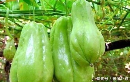 聪明的人最爱吃3种食物，美容养颜、淡化皱纹，早吃早好！