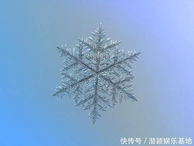 他用8个冬天拍下雪花的样子，每一朵都如此惊艳！